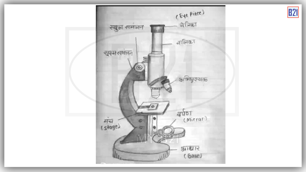 सूक्ष्मदर्शी का चित्र 
