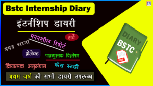 Bstc Internship Diary - DELED 1st Year - Complete Course