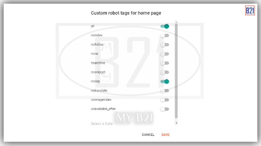 How To Enable custom robots header tags?